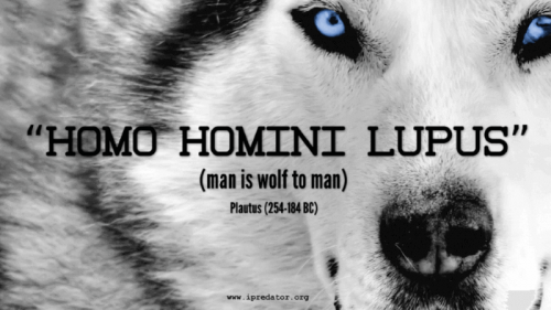 Книга человек человеку волк. Волк homo Homini Lupus est. Homo Homini Lupus est картинки. Homini Lupus est волк. Человек человеку волк на латыни.